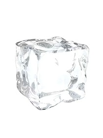 月山CP向