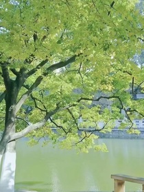 跟紧我，大小姐