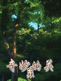 奇妙的关系（一切都是字面）