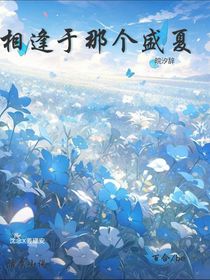相逢于那个盛夏