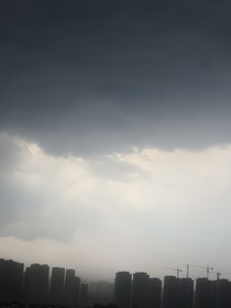 樺樹下的你和我