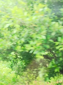 一隅光