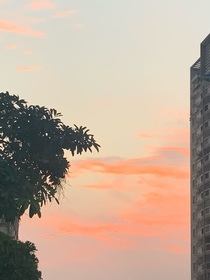 再也不见的他