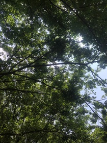 高中生的发疯日常