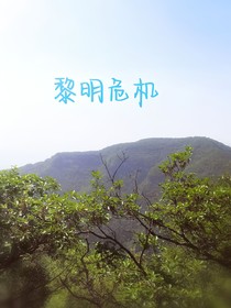 猫武士1——黎明危机