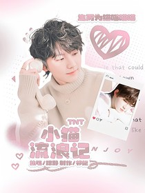 TNT：小猫流浪记