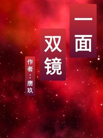 一镜双面