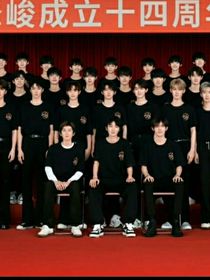 TF家族我是替身