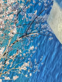 一剑青莲：寒雪
