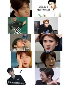 EXO：穿越玛丽苏文