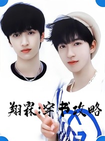 翔霖：穿书攻略