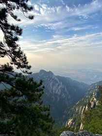 回老家种地之路
