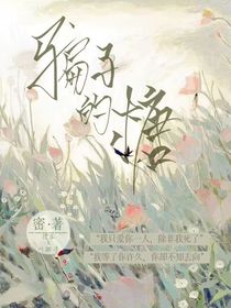 骗子的糖L