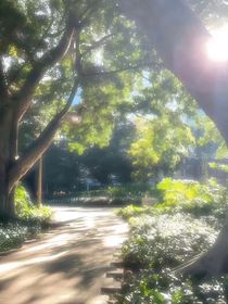 有人在郊区一中上学