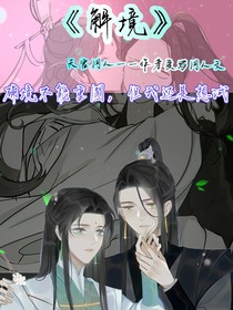 解境