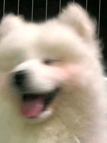 祂之名：众生