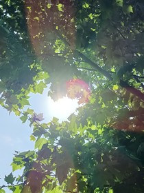 冬雨眠