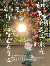 如果你是一束光請(qǐng)一直留在我身