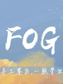 FOG：奇思妙想