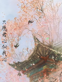 TF四代：只愿君心似我（更新慢）