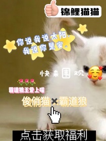 你说我是太阳，我说你是家