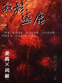 寂影：逐鹿（上）