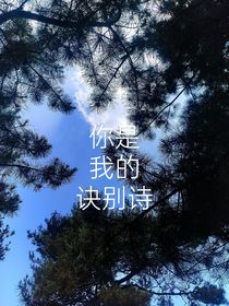 你是我的诀别诗