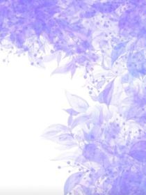 盛日盛夏