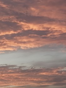 小花仙南风知我意