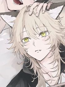 懒猪日记