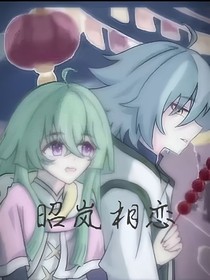 张昭和叶岚的恋爱