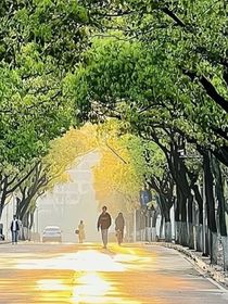 只要开始，虽晚不迟