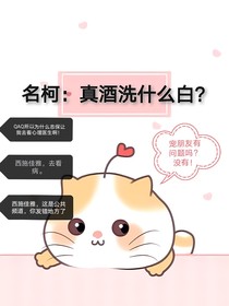 名柯：真酒洗什么白？