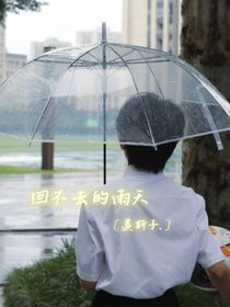 TF四代：回不去的雨天