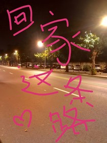 回家这条路