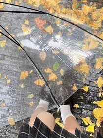 重生之后哥哥们后悔莫及