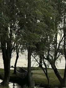 路殊同歸