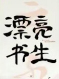 穿越漂亮书生开后宫