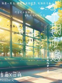 不期而遇3