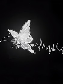 遗憾生花