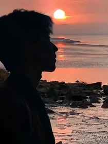 蒲公英盛开