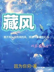 藏风——