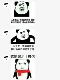 我真的是太帅了