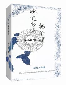 晚风匆促拂余晖