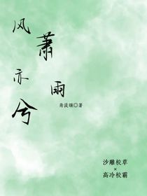 風(fēng)蕭亦雨兮