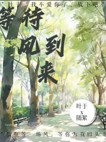 等待风到来