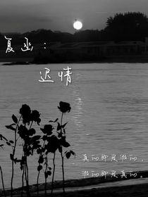 复函：迟情