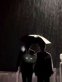 TF三代：病態(tài)-d905