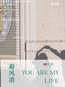 回到避风港