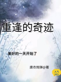 重逢的奇迹